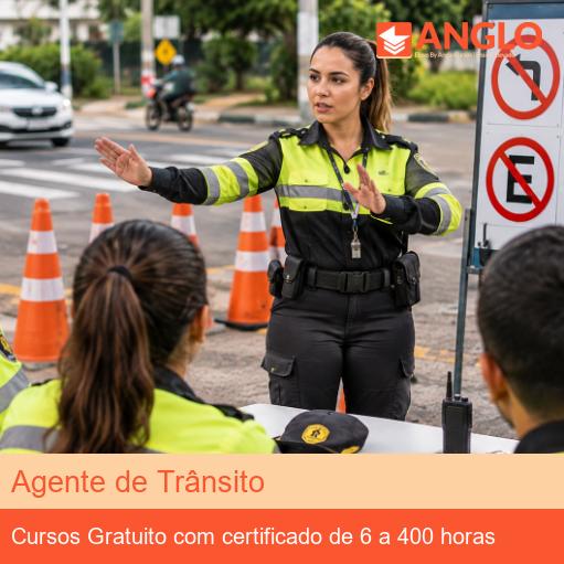 Agente de Trânsito